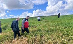Batman’da çiftçilere ’yanlış ilaçlama’ uyarısı