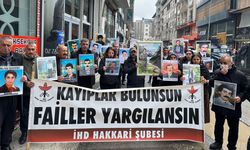 İHD Yüksekova'da Necati Aydın'ın faillerini sordu