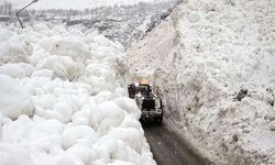Meteoroloji'den Hakkari İçin Çığ Uyarısı