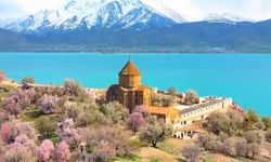 Van’da Akdamar Badem Çiçeği Festivali’nin tarihi belli oldu