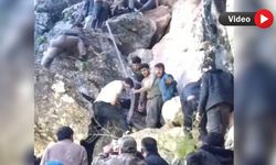 Hakkari’de Mantar Toplayan Genç Ölümden Döndü