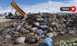 Yüksekova’nın güzel manzarasına gölge düştü: Şehrin girişi çöplerle dolu