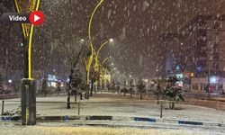Kış Geri Döndü: Yüksekova’ya Lapa Lapa Kar Yağdı