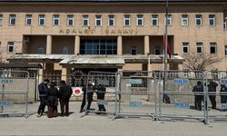 Yüksekova merkezli suç ağına darbe: 30 kişi tutuklandı