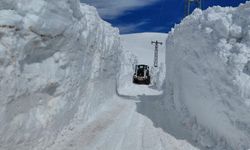 Yüksekova'da üs yolları için karla zorlu mücadele