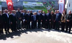 Van’da 5 yılda 4 buçuk milyon fidan toprakla buluşturuldu