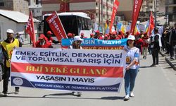 Hakkari'de 1 Mayıs kutlandı