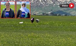 Yüksekova’da Yabani Sarımsak Mesaisi Başladı