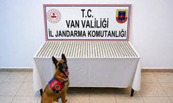 Van’da 8 İranlı’nın midesinde 3 kilo esrar ele geçirildi