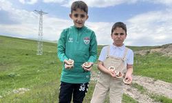 Kars’ta mantar bereketi: Çocuklar doğada hem eğlendi hem topladı