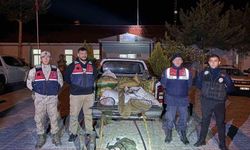 Muradiye’de 630 kilo inci kefali ele geçirildi
