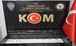 Şırnak’ta tarihi eser operasyonunda 180 obje ele geçirildi