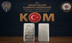 Şırnak’ta 4,3 milyonluk kaçakçılık engellendi