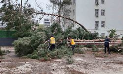 Birecik’te afetin yaraları sarılıyor