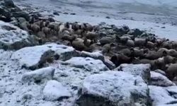 Mayıs sonunda Kars’a kış geri döndü, eksi 5 derecede kar sürprizi
