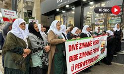 Zımangehder: Kürtçe Yaşamın Her Alanında Yer Almalı