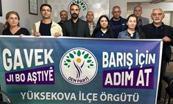 DEM Parti’den Yüksekova’da Yürüyüş Çağrısı