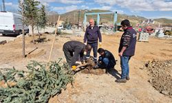 Yüksekova Küçük Sanayi Sitesi Yeşillendiriliyor