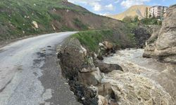 Hakkari’de iki mahalleyi bağlayan yol çöktü