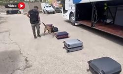 Yüksekova’da Yolcu Otobüsüne Narkotik Operasyonu