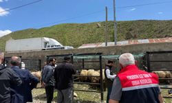 Bayram arefesinde kurban pazarında sıkı denetim