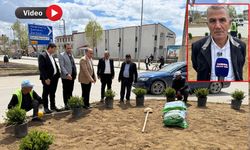 Yüksekova’da Orta Refüjler Yeşillendiriliyor