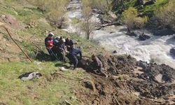 Hakkari’de bataklıkta mahsur kalan inek kurtarıldı