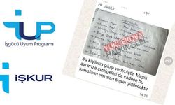Hakkâri’de İUP Krizi: Onlarca Kişi İşten Çıkarıldı