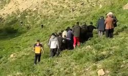 Pancar Toplarken Kayalıklardan Düşen Kadın Hayatını Kaybetti