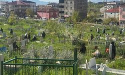 Yüksekova’da Bayramda Vatandaşlar Mezarlıklara Akın Etti