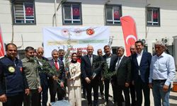 Adıyaman’da çiftçilere zeytin fidanı ve arılı kovan desteği