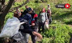 Yüksekova’dan Yola Çıkan Grup, Şemdinli Yaylalarında Dağ Pancarı Topladı
