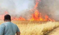 Şanlıurfa’da buğday tarlasında korkutan yangın