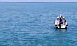 Otomobil Van Gölü’ne uçtu: Sürücü yaralı kurtarıldı