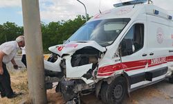 Bitlis’te ambulans ile otomobil çarpıştı: 10 yaralı