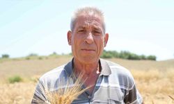Adana’da ata tohumu karakılçık buğdayı yeniden üretime kazandırıldı