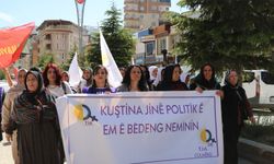 Hakkari’de Kadınlardan Şiddet ve Cezasızlık Politikalarına Tepki