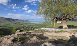 Van’ın koyları ve göl manzaralı mesire alanları doğaseverleri büyülüyor