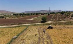 Gercüş’te bereketli hasat: Mercimek rekoltesi çiftçinin yüzünü güldürdü