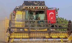 Vali Akkoyun: ’’Mardin’de 1 milyon 279 bin dekarlık alanda buğday ekimi yapıldı’’