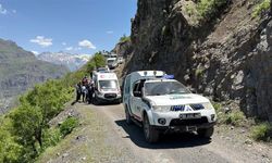 Hakkari’de yılanın ısırdığı kişi ekiplerce kurtarıldı