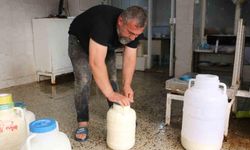 Diyarbakır’da kışlık peynir mesaisi başladı