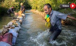 Canını hiçe sayan çiftçi dereden tarlasına su götürmeye çalışıyor