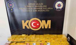 Şırnak’ta asayiş, narkotik ve kaçakçılık operasyonunda 3 tutuklama