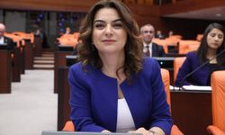 DEM Parti’li Koçyiğit: Çerçeve yasa için görüşme trafiği 5 Haziran sonrası netleşecek