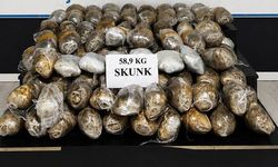 Hakkâri’de 58,9 Kilogram Skunk Ele Geçirildi: 3 Gözaltı
