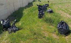 Yüksekova Çevre Yolunda 250 Poşet Çöp Toplandı