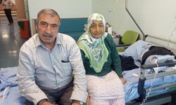 Yüksekovalı Güzel Korkuter Karaciğer Nakli Bekliyor