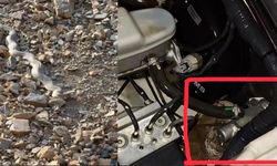 Hakkari’de İşçileri Taşıyan Aracın Motoruna Yılan Girdi