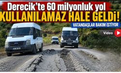 Derecik’te 60 milyonluk yol kullanılamaz hale geldi! Vatandaşlar bakım istiyor